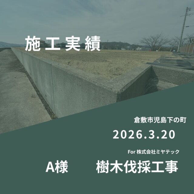 2026.3.20
倉敷市児島下の町
A様　樹木伐採工事
For株式会社ミヤテック
.
.
早島に拠点を置く、岡山県No.1を目指す解体業者はミヤテック！
.
株式会社ミヤテックは、岡山県No.1解体業者になるべく日々、全力でお仕事をさせて頂いております！頂いたお仕事はすべて全力！丁寧！安全！に対応させて頂きます！
どんな些細な事でもなんでもお問い合わせ下さい！
スタッフ一同お待ちしております！
.
.
岡山県都窪郡早島町早島2737-8
086-483-0170